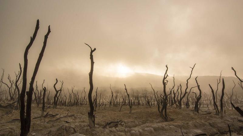 Sosyal Medya Pazarlama Stratejileri 2025: Kapsamlı Rehber