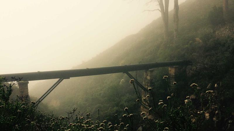 TikTok Algoritması ve FYP'ye Çıkma Stratejileri 2025